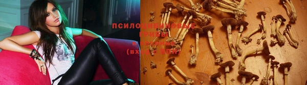 каннабис Надым