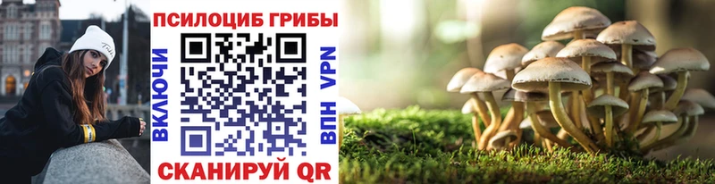 Псилоцибиновые грибы Cubensis  наркота  Нижневартовск 
